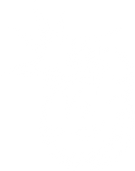 Pyro Hub, Ihr Vertriebs Partner von Feuerwerk in Deutschland. Pyro Hub ist vertriebs partner von Klasek Pyrotechnics. Klasek feuerwerk kaufen? Klasek Feuerwerk Deutschland. DumBum Feuerwerk kaufen? Pyro Hub ist Vertriebs partner von DumBum