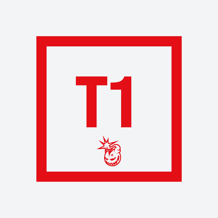 T1
